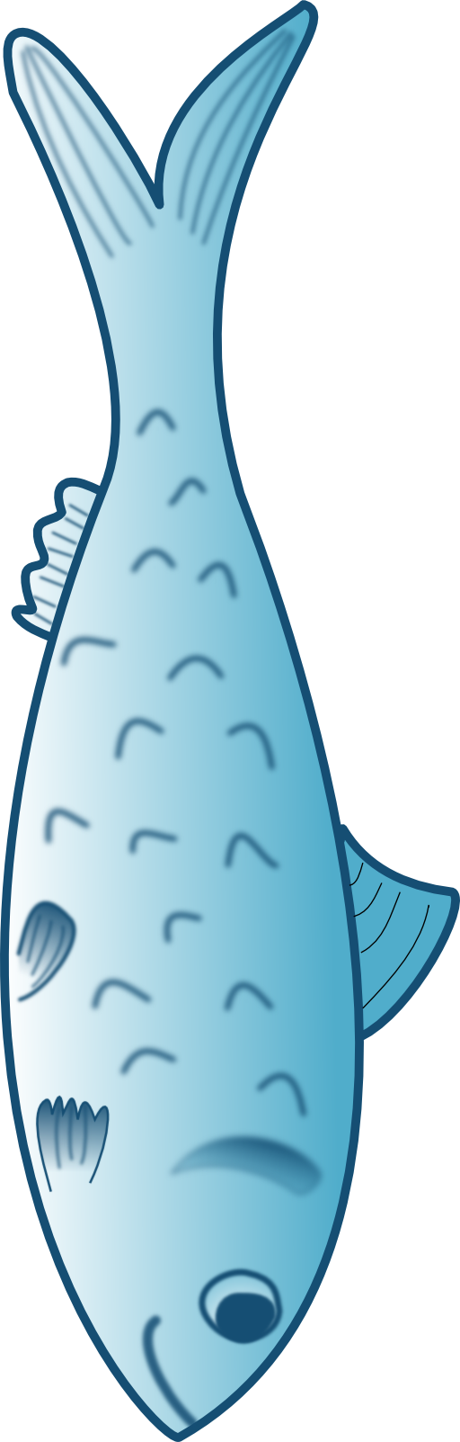 fish clipart clip art
