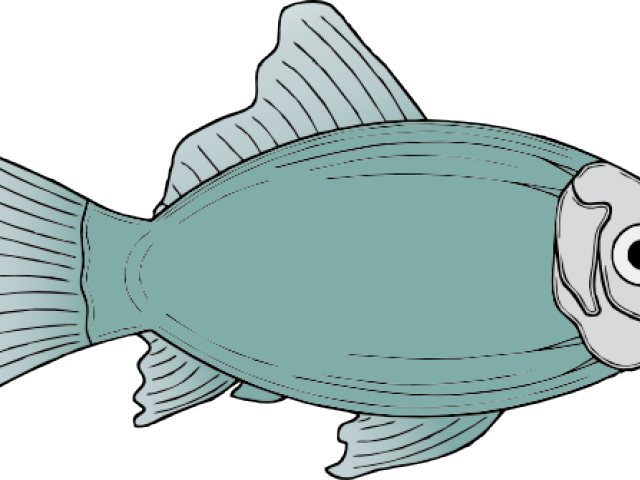 fish clipart cod