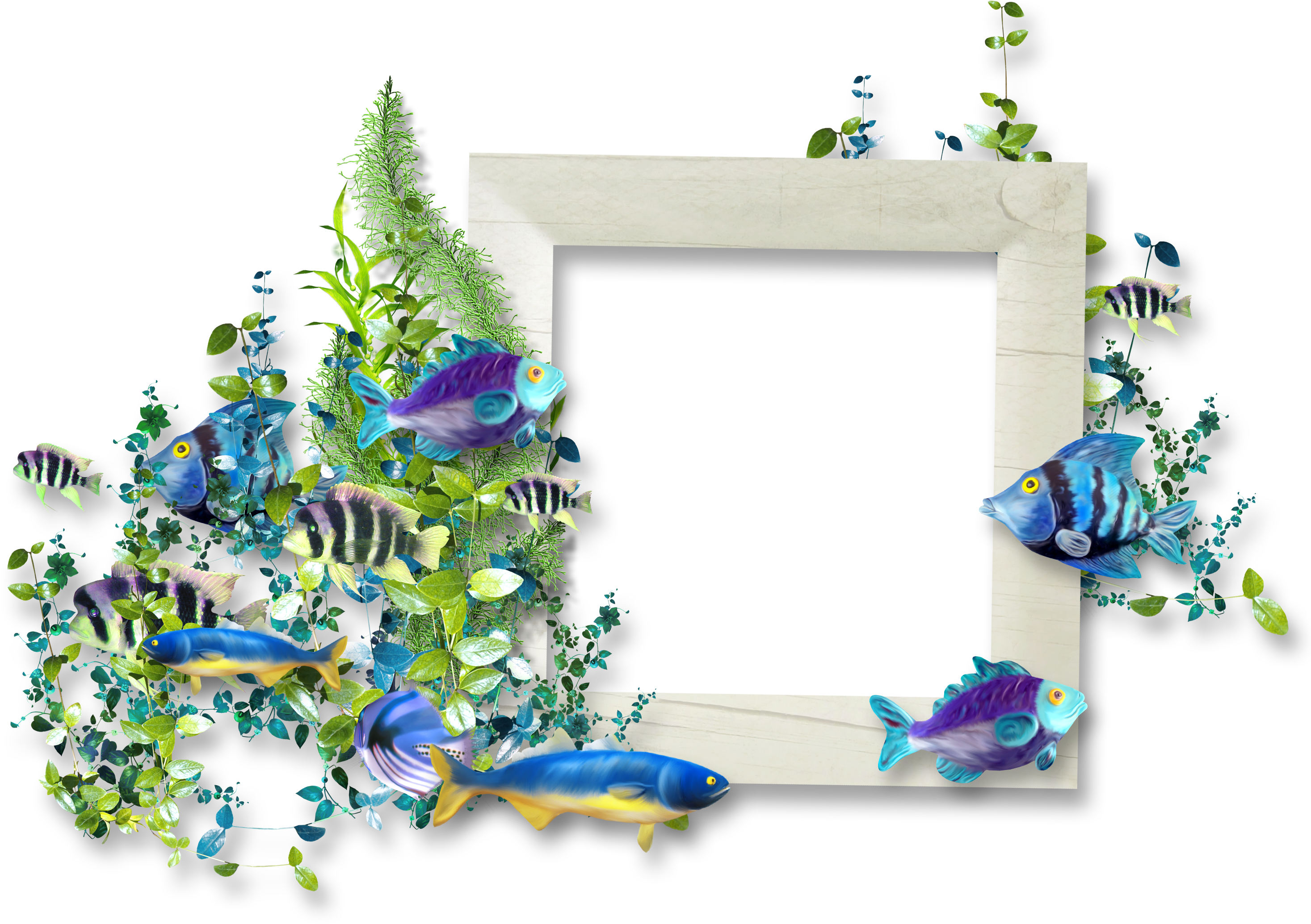 Fish clipart frame. Picture sea image hosting