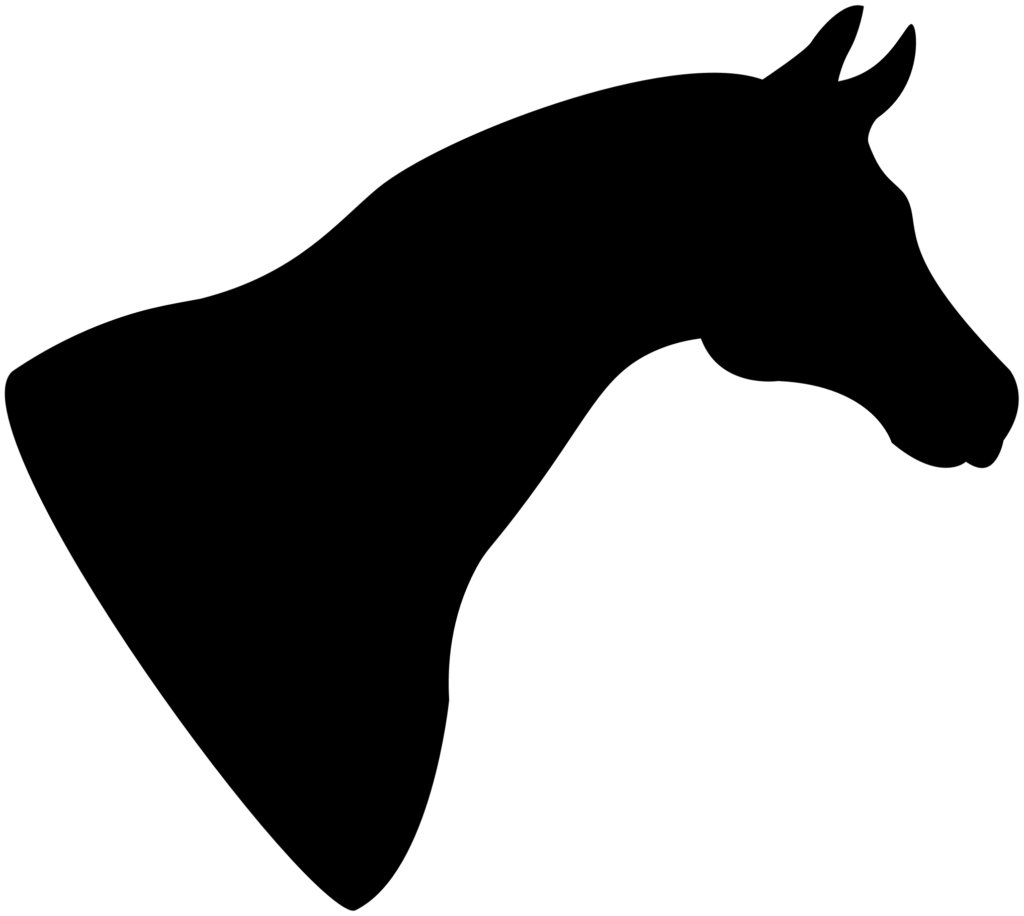 horse clipart arabian horse