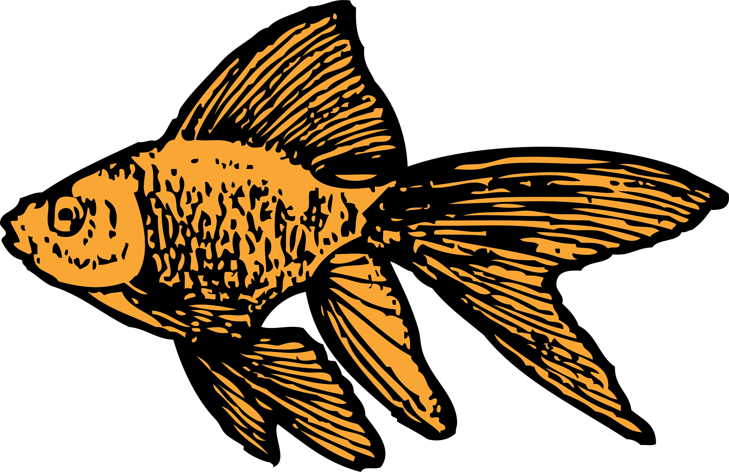 Goldfish clipart ikan. Big image png