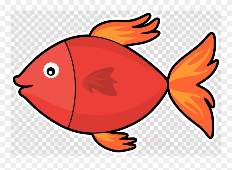 fish clipart red