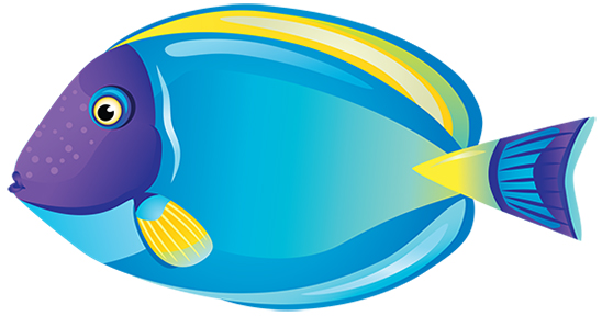 Fish clipart spring. Free turtle download clip