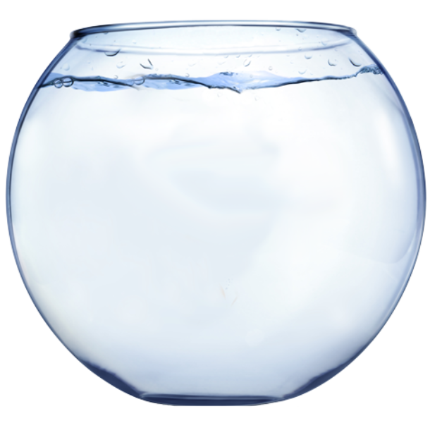 fishbowl clipart acquarium