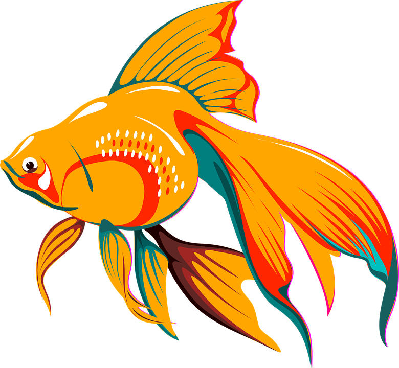 goldfish clipart sea creature