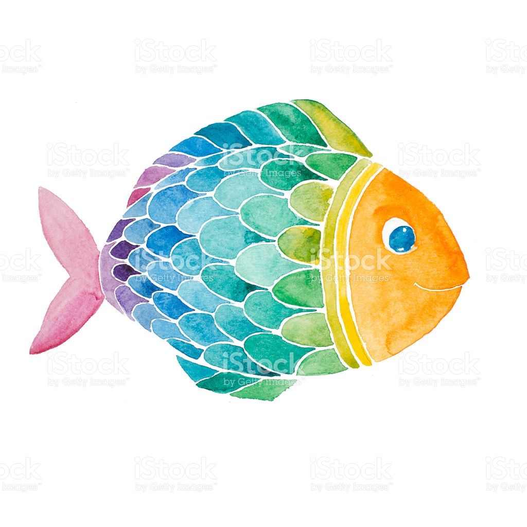 Rainbow smiling painted isolated. Fish clipart watercolor