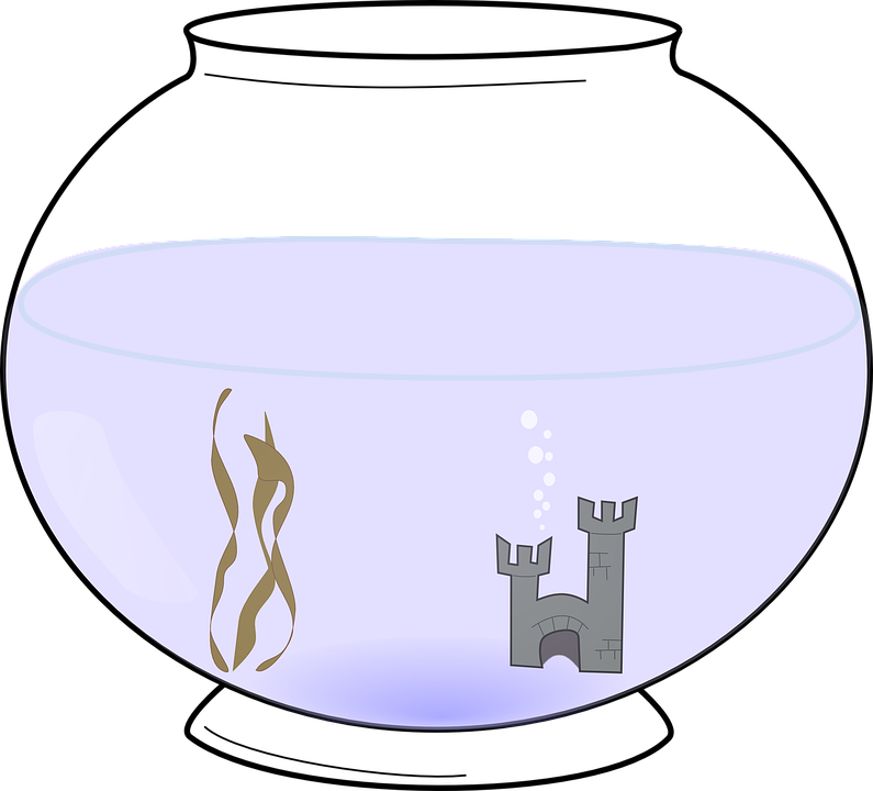 fishbowl clipart bowl water