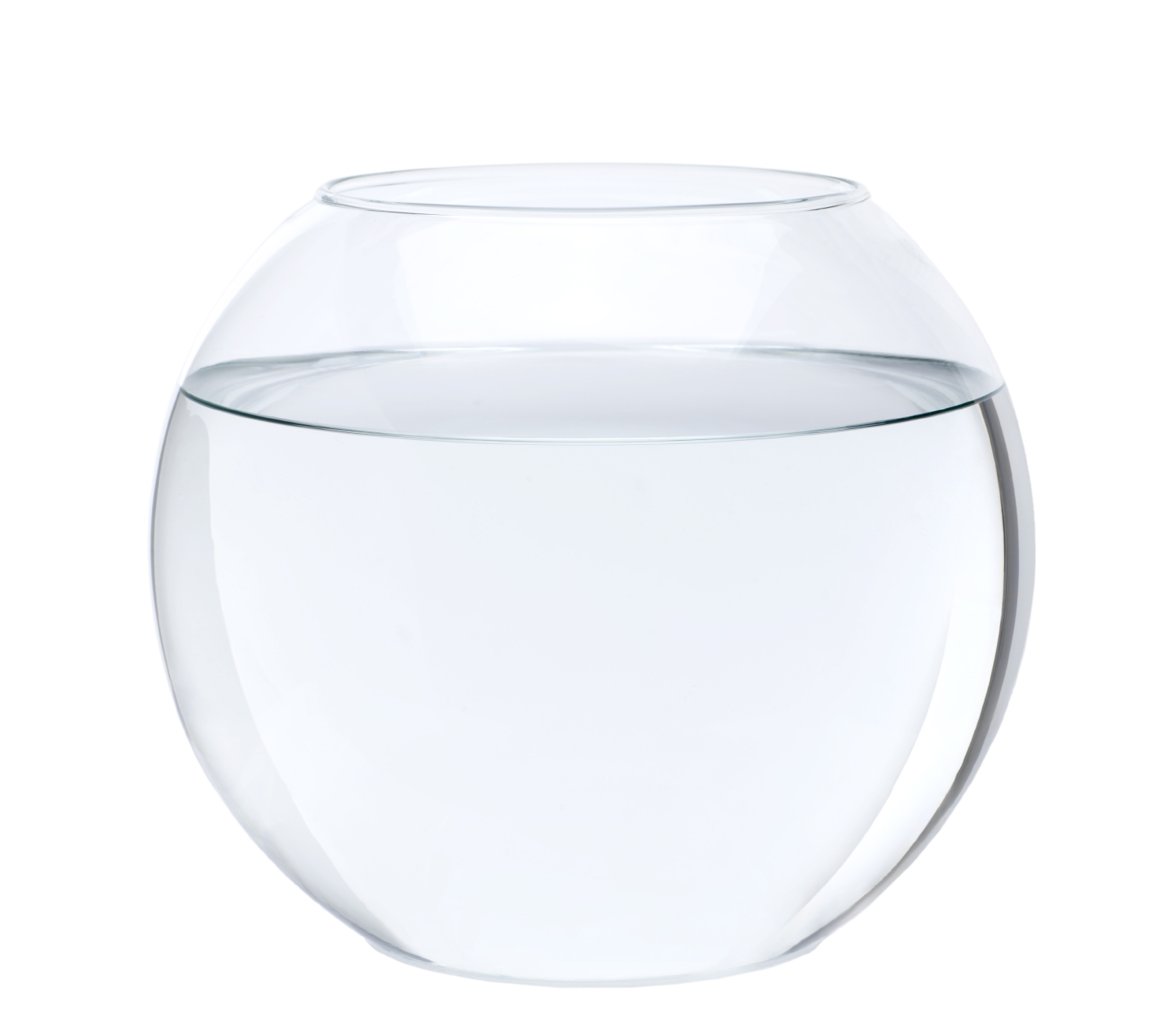 fishbowl clipart bowl water