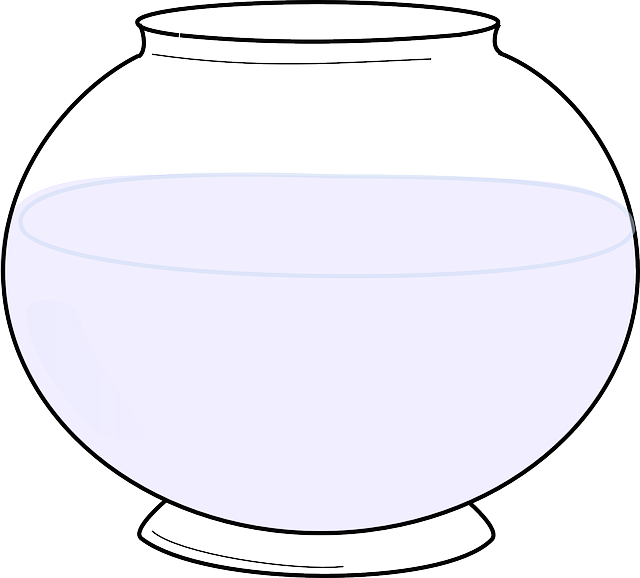 Fishbowl fish jar