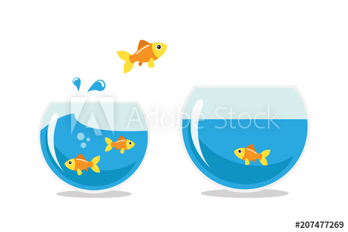 fishbowl clipart golden fish