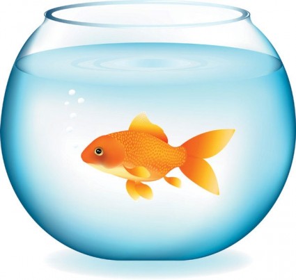 fishbowl clipart goldfish bowl
