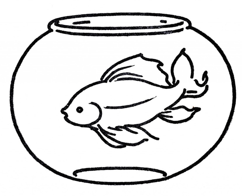 goldfish clipart fishbowl