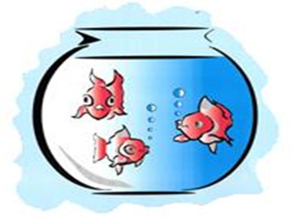 fishbowl clipart three fish