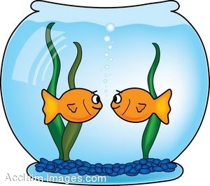 fishbowl clipart two