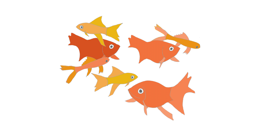 goldfish clipart fish swim