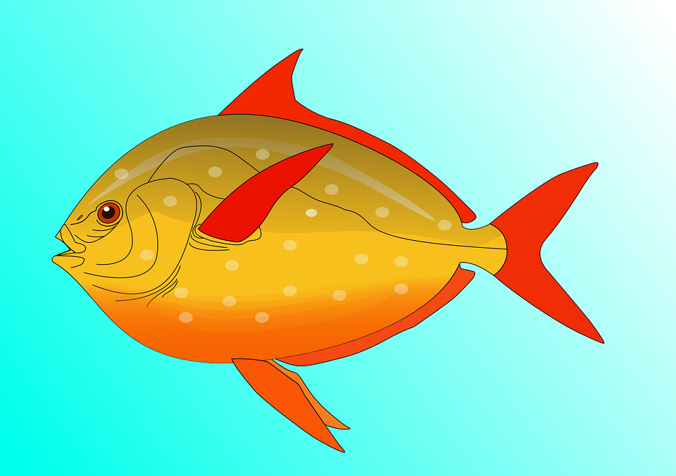 Suggestions for download fish. Fishing clipart tool