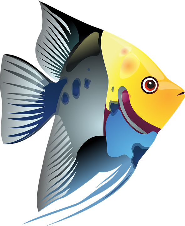 Free Free 324 Cute Fish Clipart Svg SVG PNG EPS DXF File