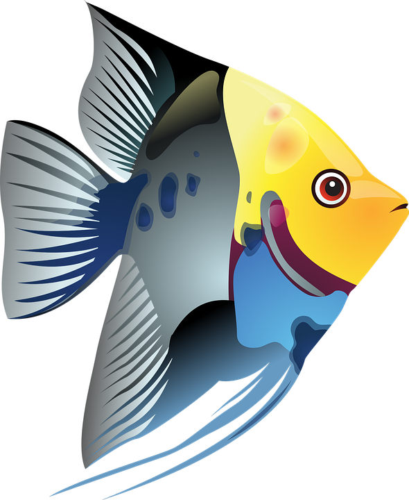 Free Free 183 Cute Fish Clipart Svg SVG PNG EPS DXF File