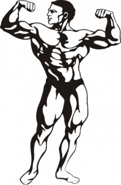 Fitness clipart body fitness. Building plano frisco richardson