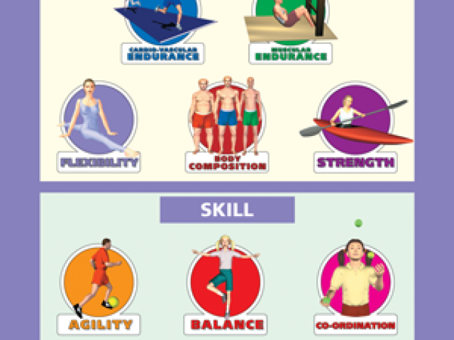 Free download clip art. Fitness clipart coordination