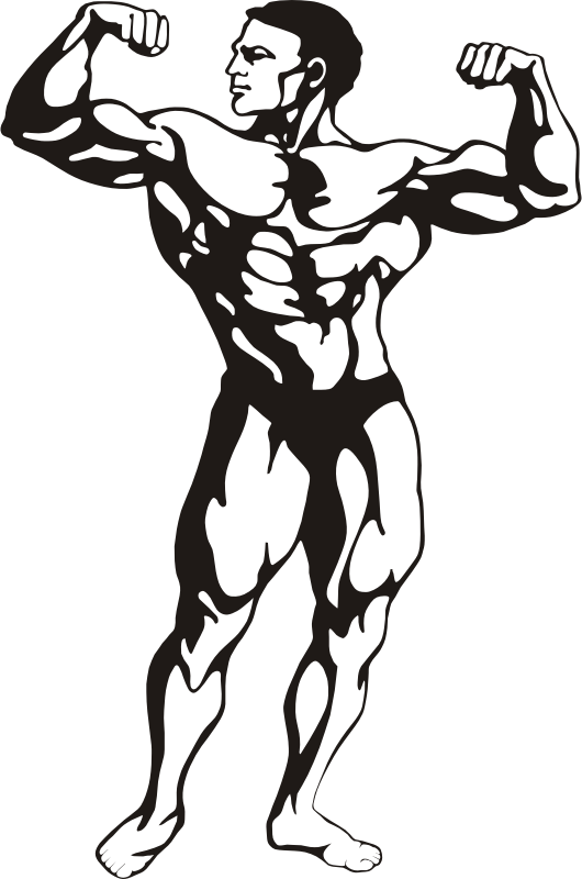 muscle clipart arm outline
