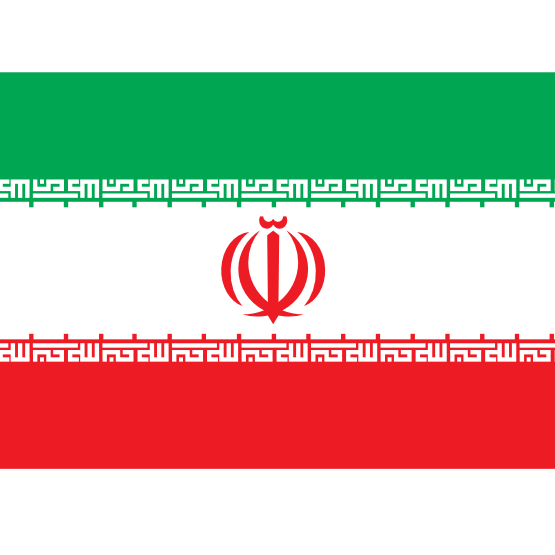 Flags logo