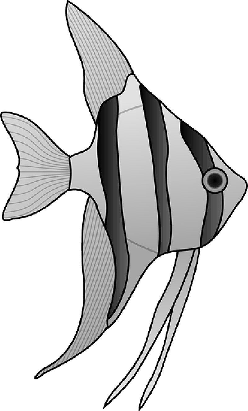 Tropical fish outlines crazywidow. Flame clipart angelfish
