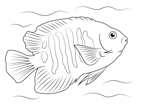 Flame clipart angelfish. Coloring page free printable