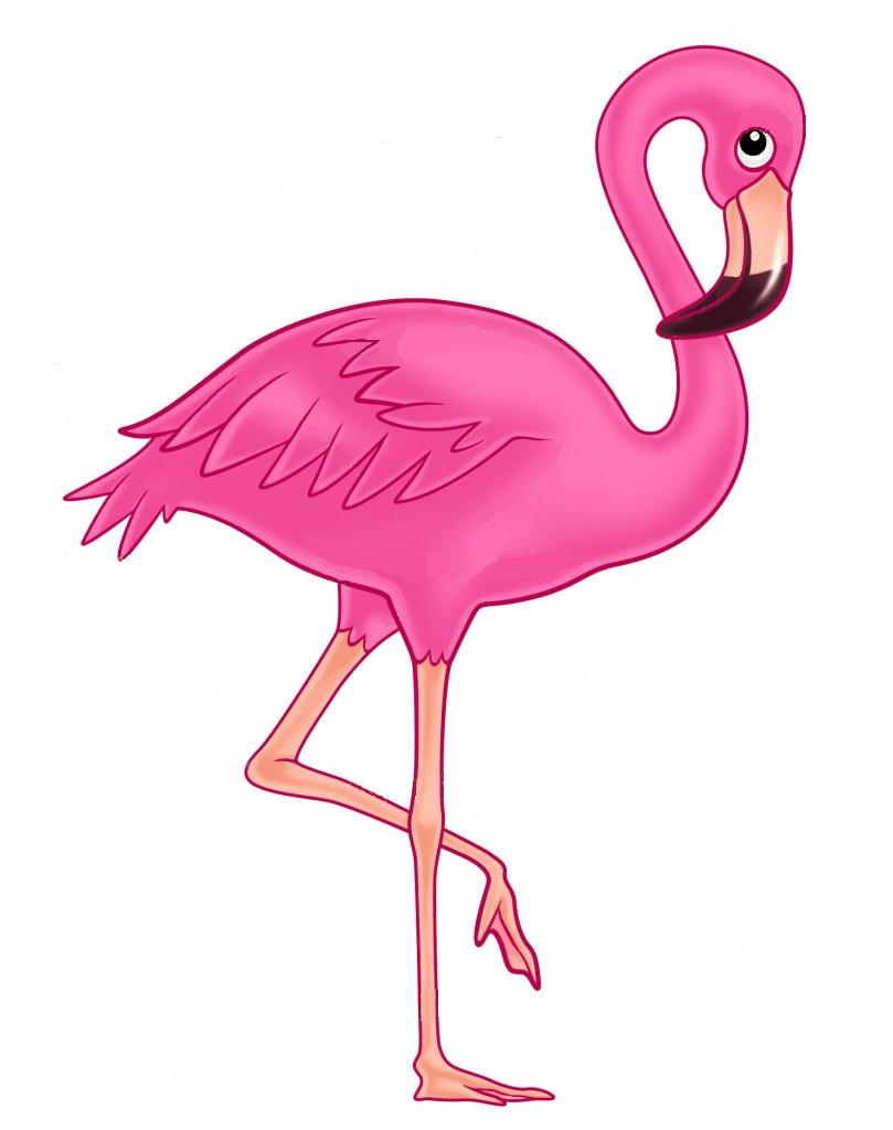 Pink band fundraiser more. Flamingo clipart