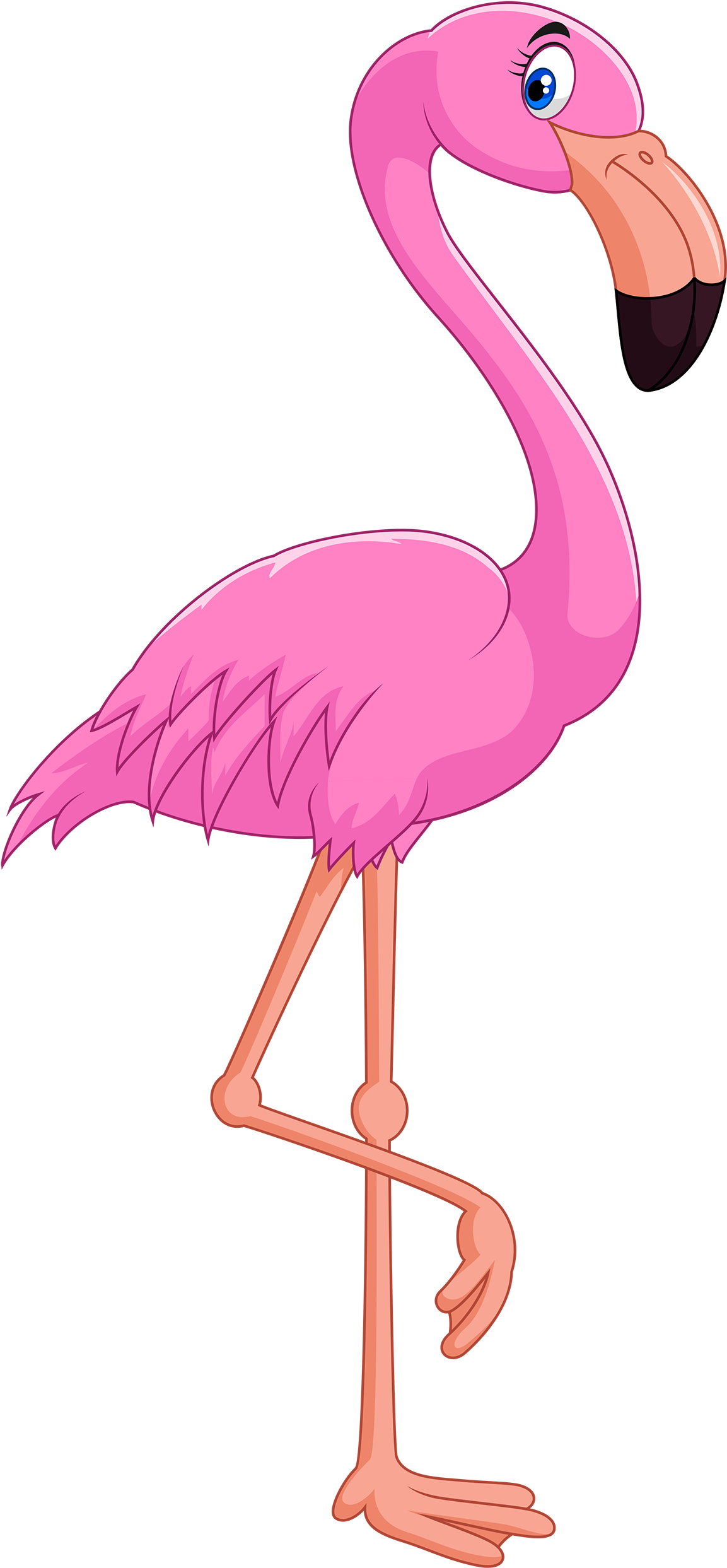 flamingo cartoon characters