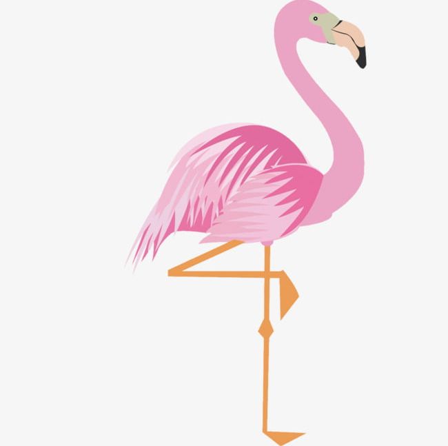 flamingo clipart animated