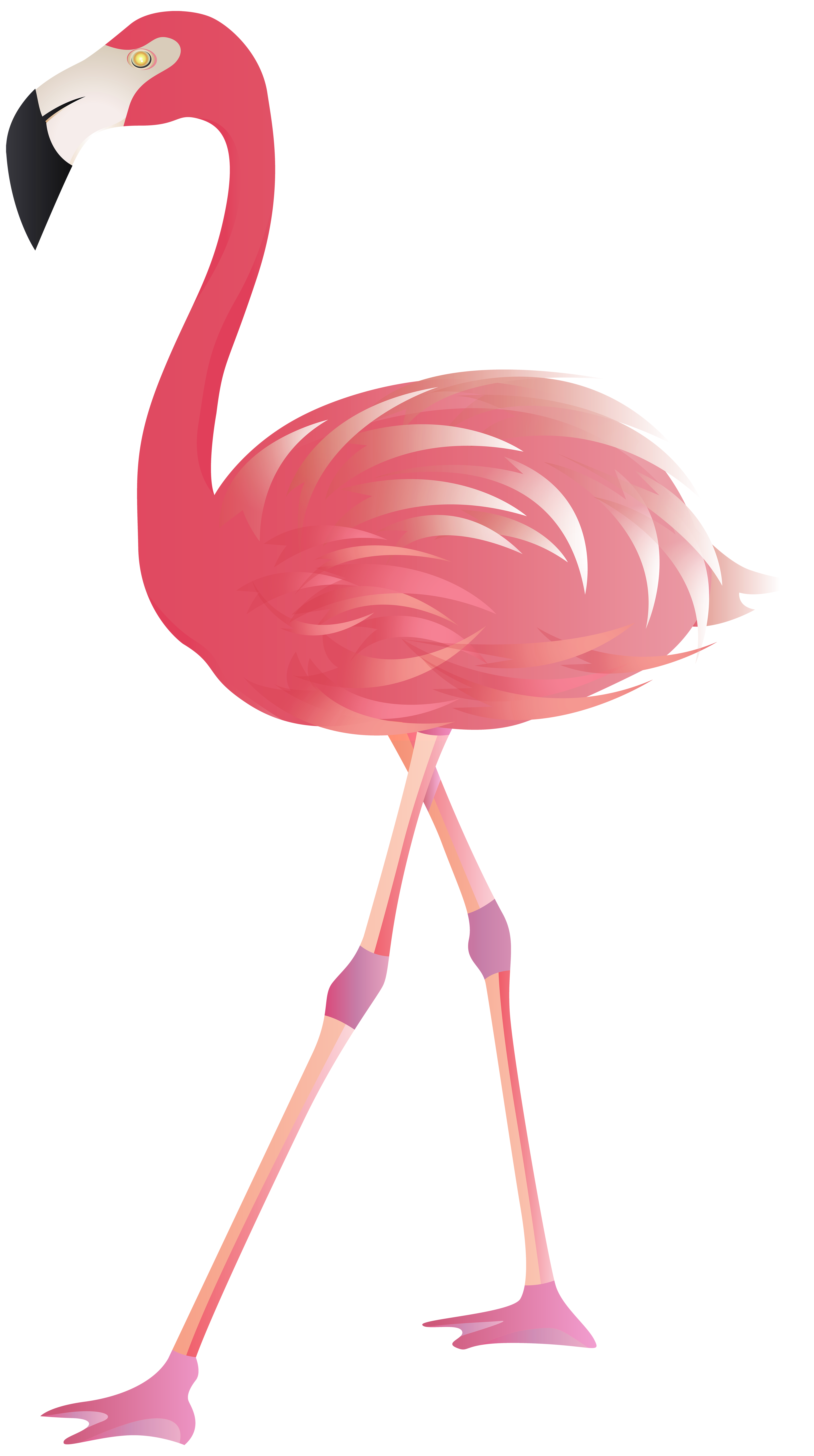 Pink flamingo clipart vectored image - limoconcept