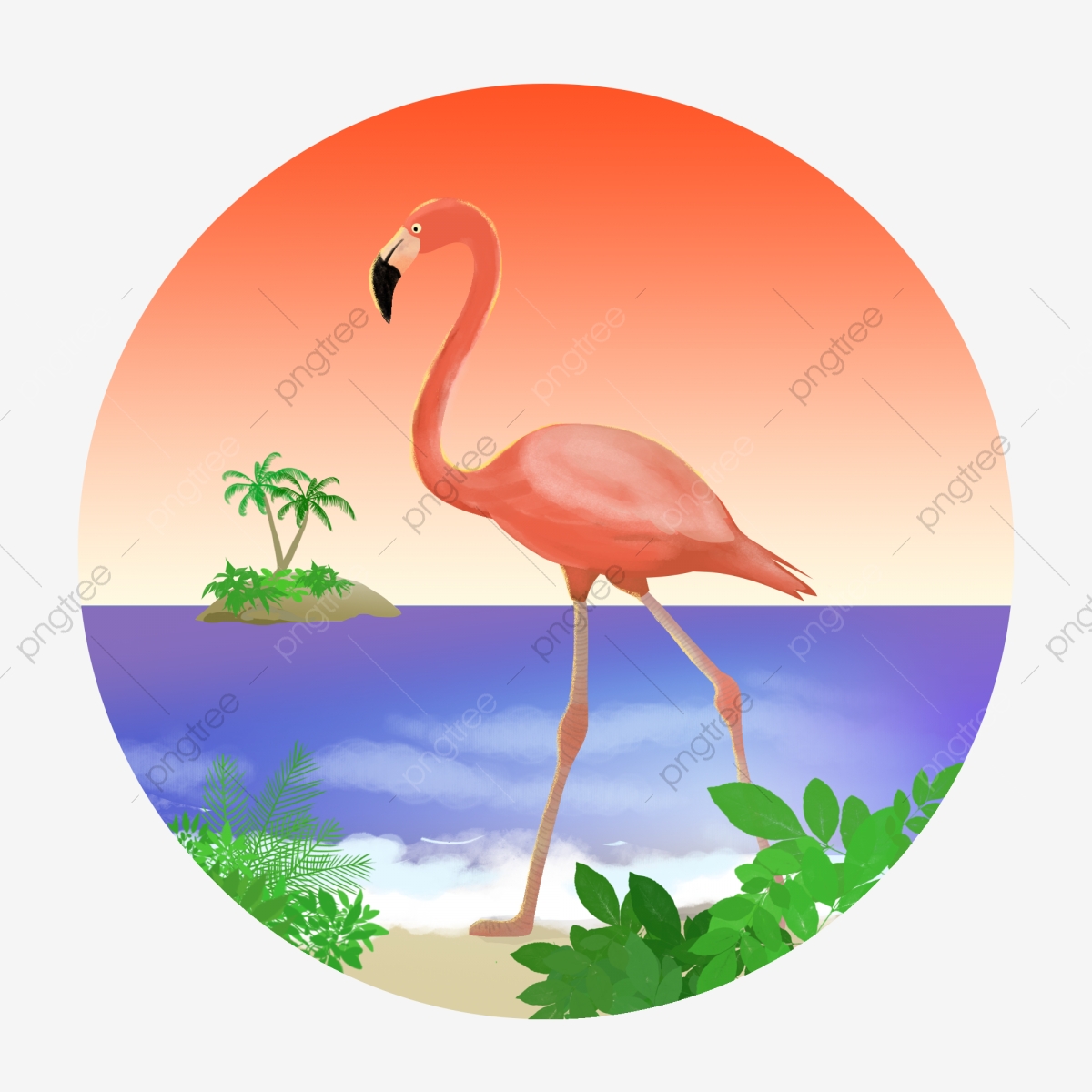 flamingo clipart beach