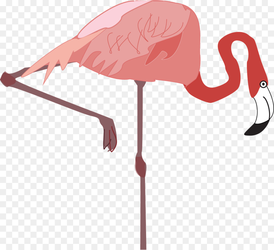 flamingo clipart beak