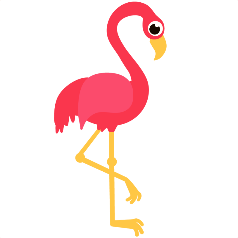 Flamingo beak