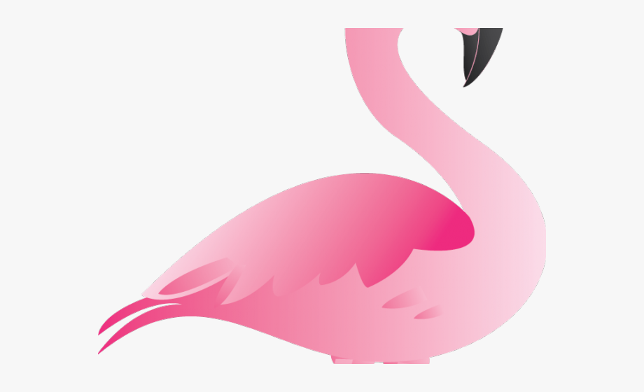 flamingo clipart cartoon