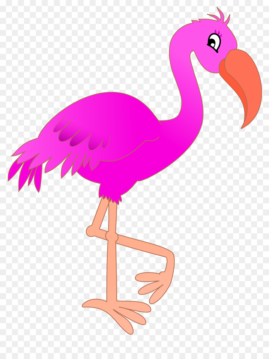 flamingo cartoon images
