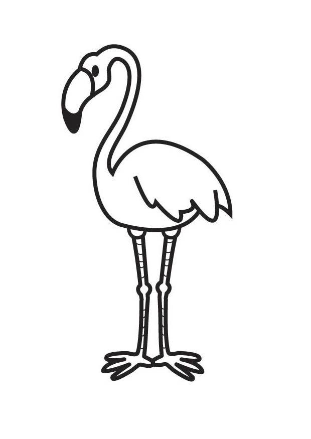 Flamingo clipart colour. Free cartoon images download