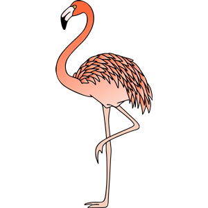 flamingo clipart colour