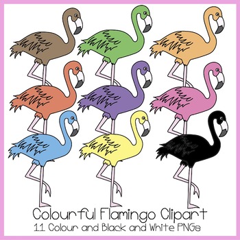 flamingo clipart colour