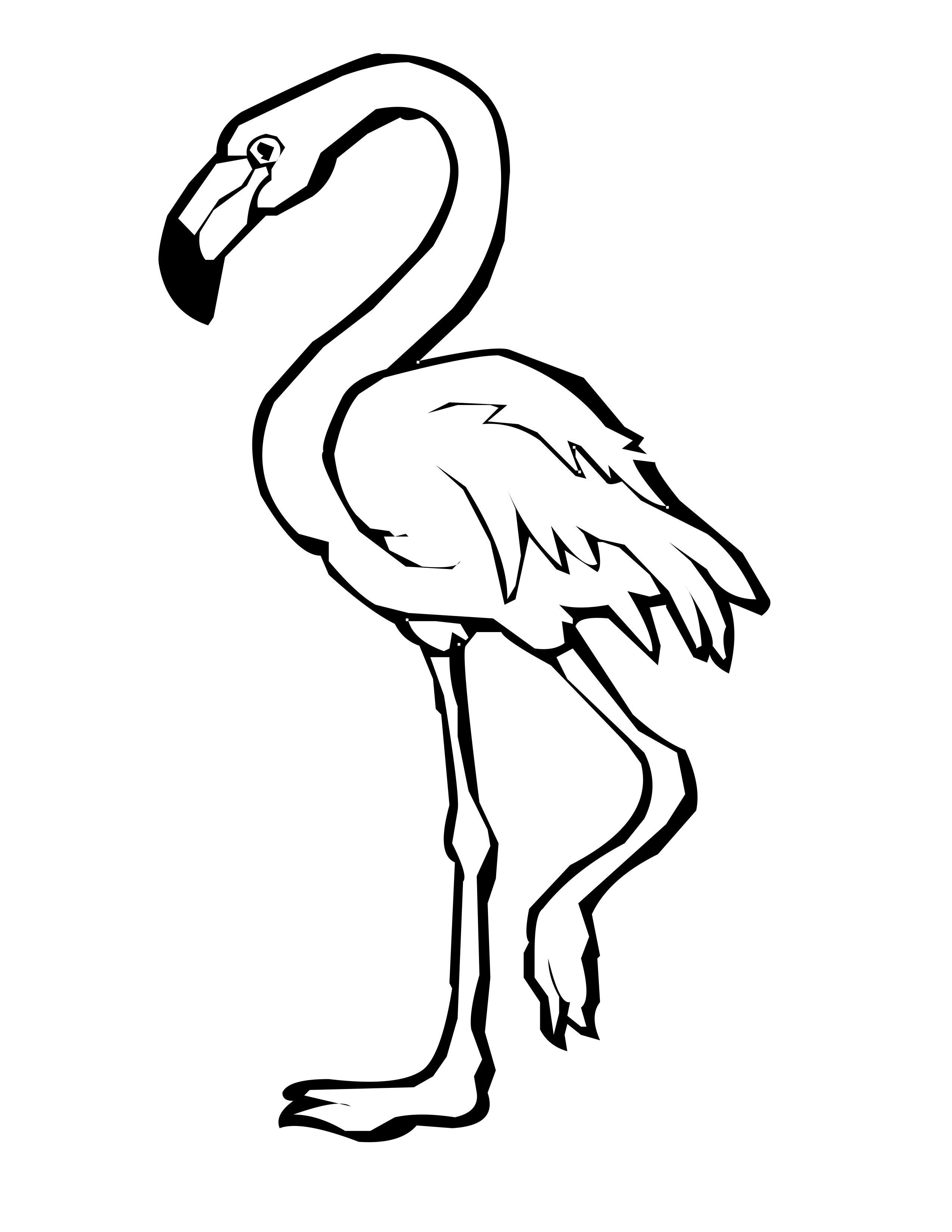 flamingo clipart colour