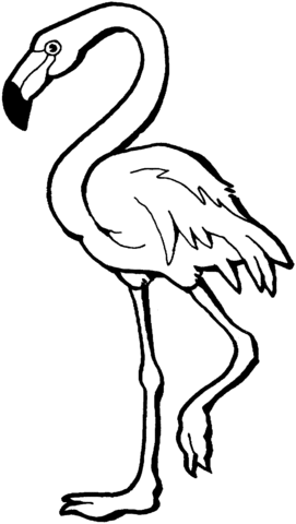 flamingo clipart colouring page