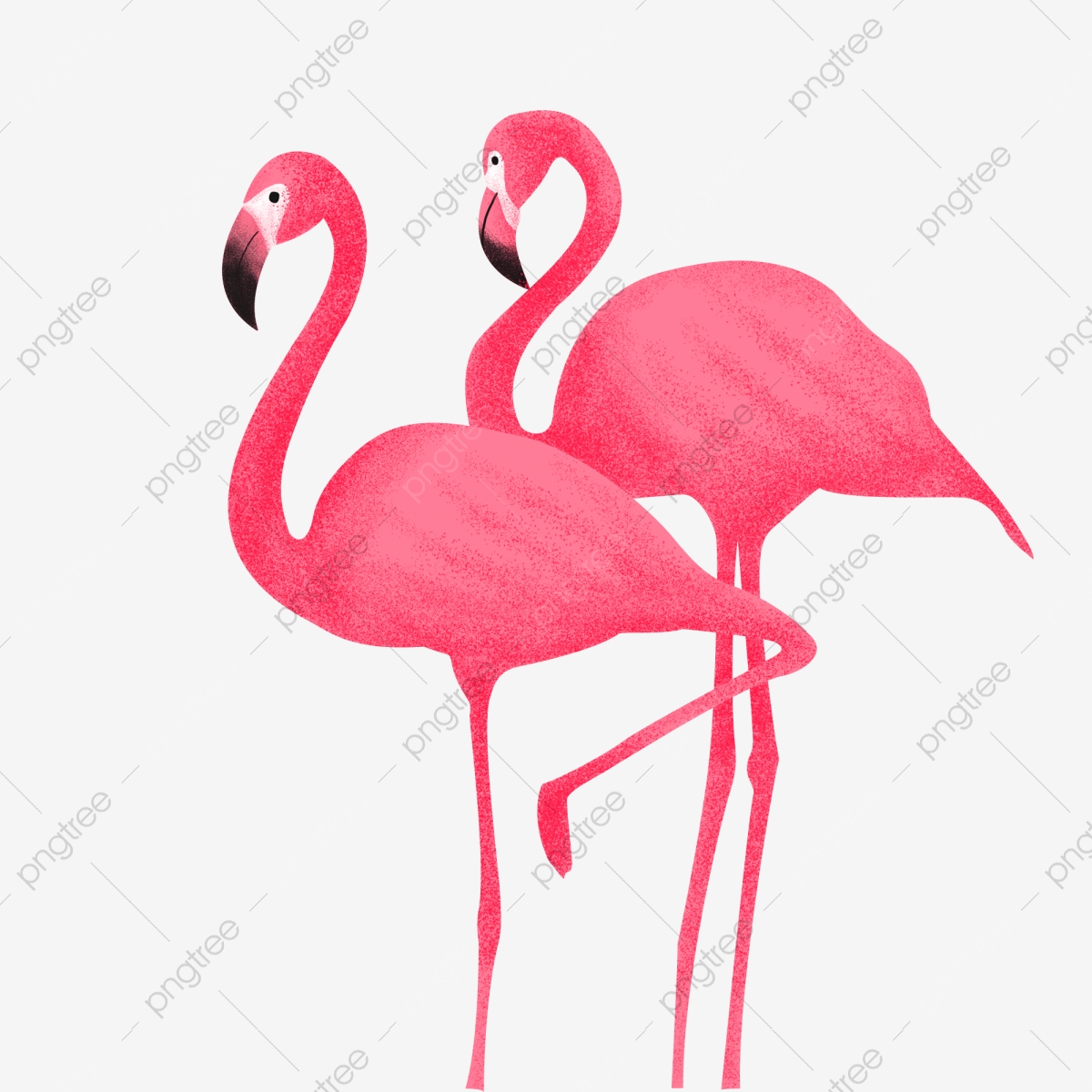 Cartoon . Flamingo clipart copyright free