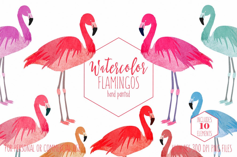 flamingo clipart coral
