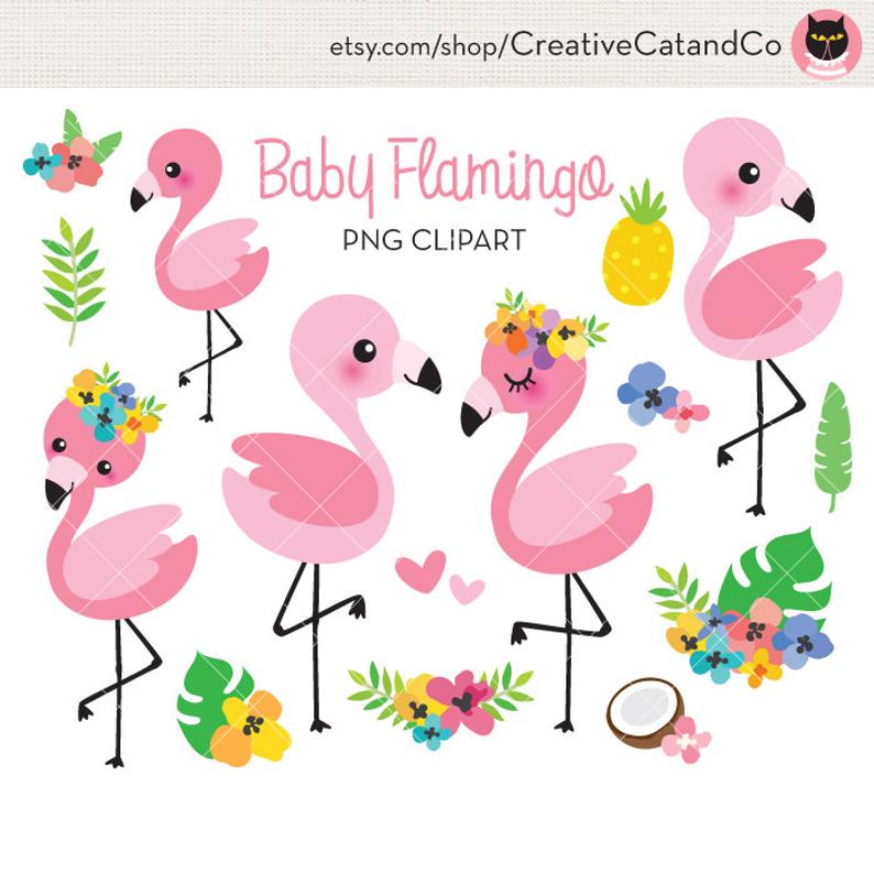 flamingo clipart cute baby