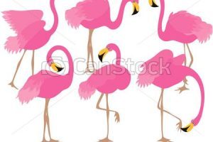 flamingo clipart dancing