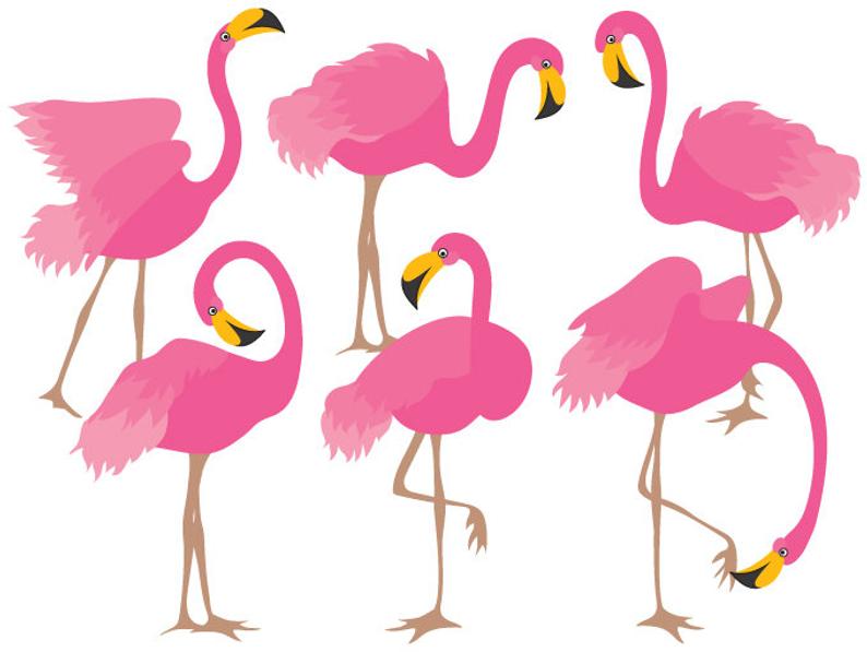 flamingo clipart digital