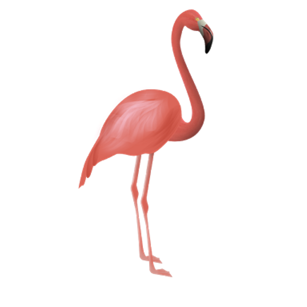 flamingo clipart elegant