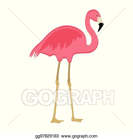 flamingo clipart exotic bird