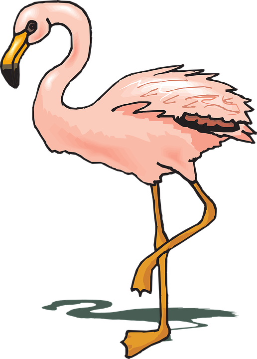 At getdrawings com free. Flamingo clipart five